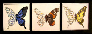 Butterflies