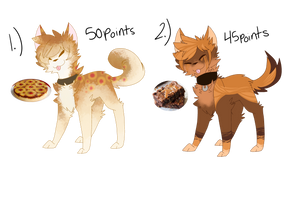 Dessert Dog Adopts!  (Closer!)