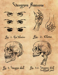 Vampyre Anatomy