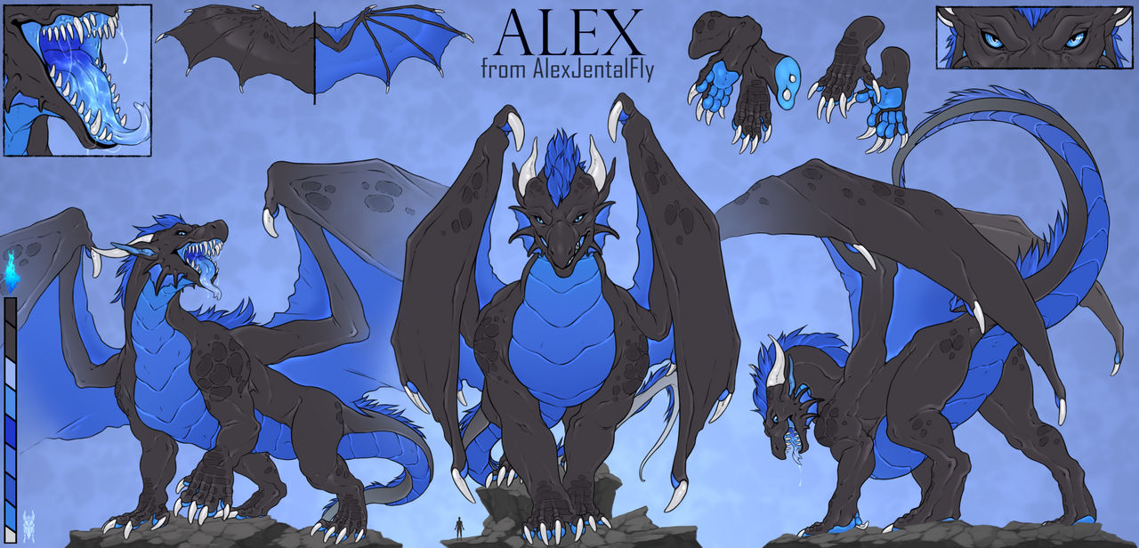 Dragon Reference Guide Dragon reference by Hela95 on DeviantArt