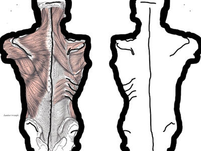 Subhuman Back Human Anatomy - Back by KittyCatKylie5 on DeviantArt