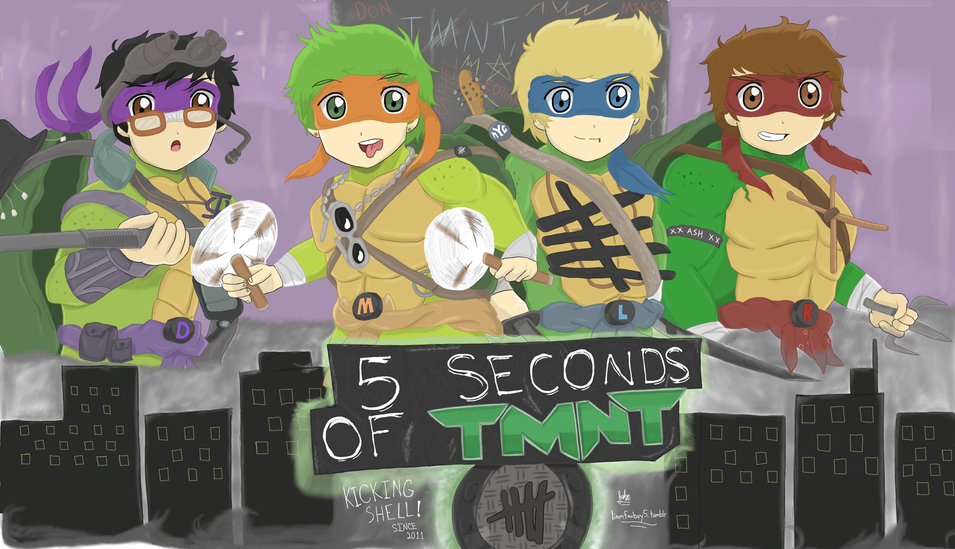 5 Seconds of Summer Ninja Turtles