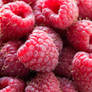 Fresh raspberries