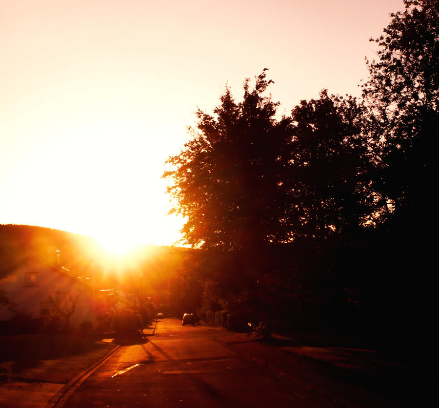 Sunset Over Dahl