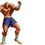 Sagat new move 13