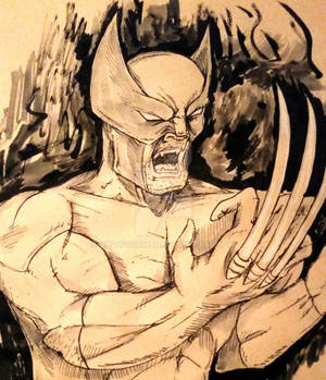 Wolverine