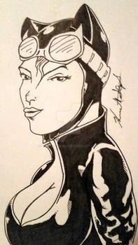 Catwoman Sketch