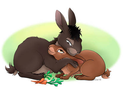 Watership Down: Bigwig (Thlayli) and Hazel