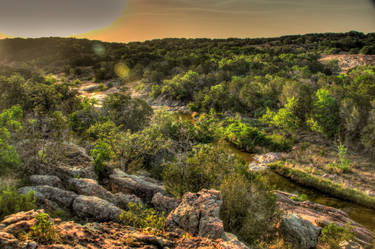 Alien landscape