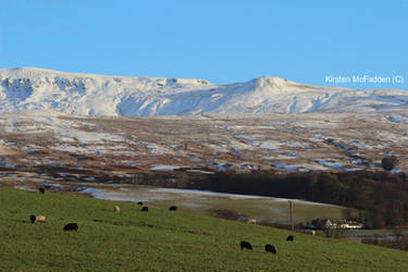 Snowy Hills: Scotland 2015