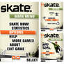 Skate Interface