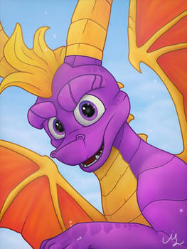 The adventure continues - Spyro