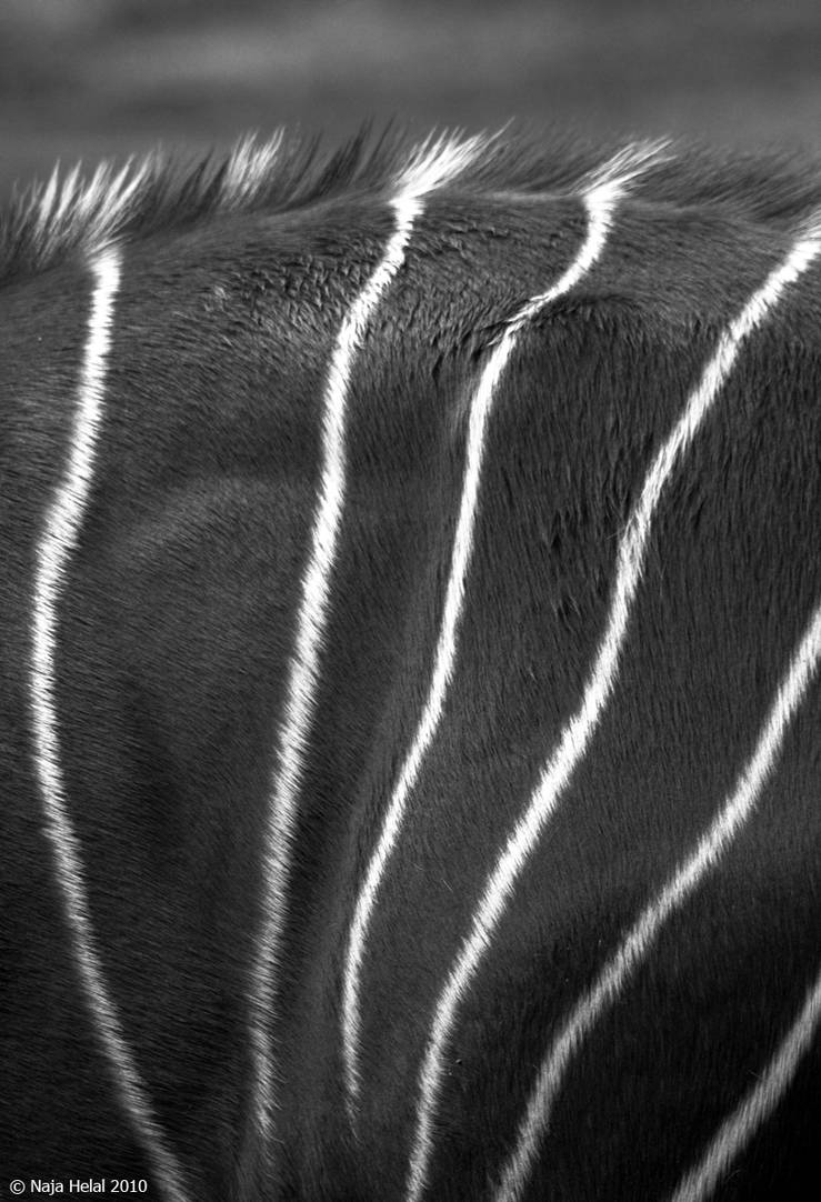 Abstract Skin by eyesweb1 on DeviantArt