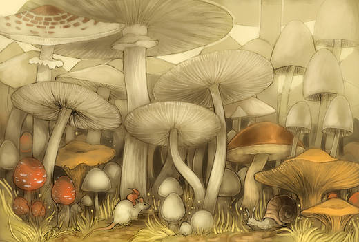 Mushroom forest