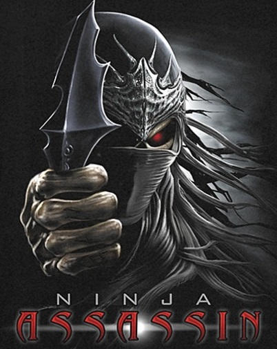 8 Ninja assassin ideas  assassin, ninja, ninja assassin movie