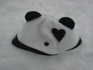 Sad Panda Hat Left on the Snow