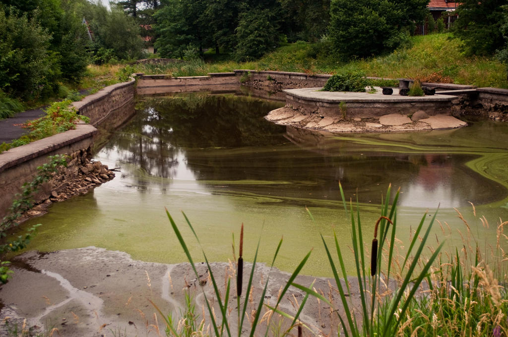 abandoned pond by AlyonaMyalova on DeviantArt