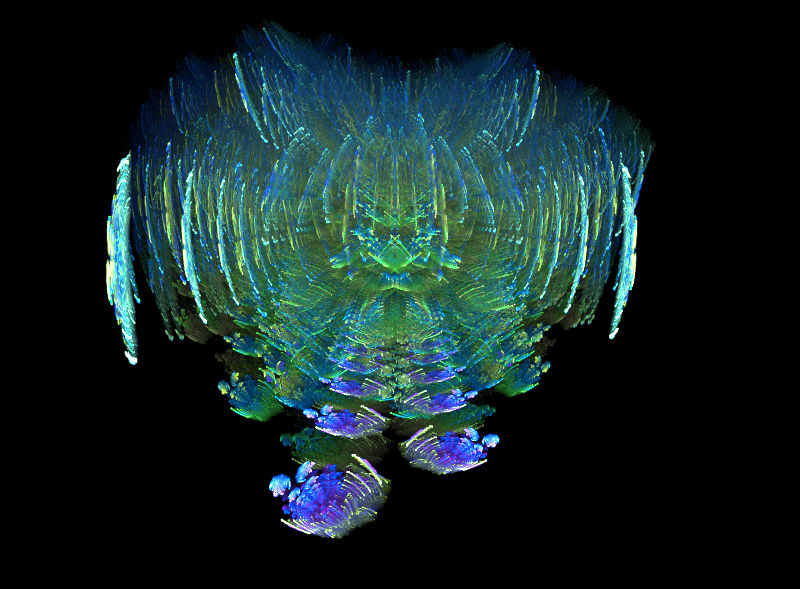 Shell Depth by Thelarion on DeviantArt