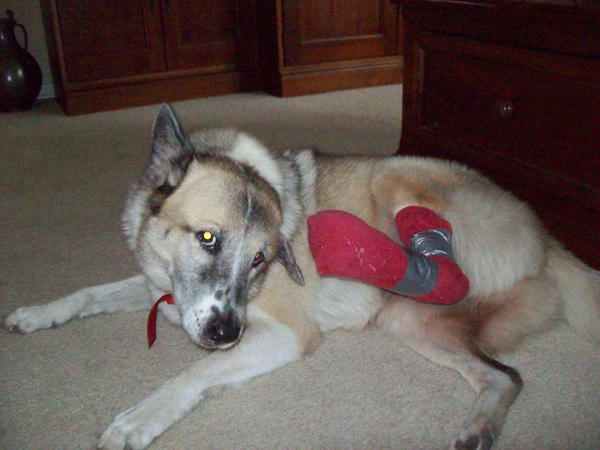 Annie with Sock