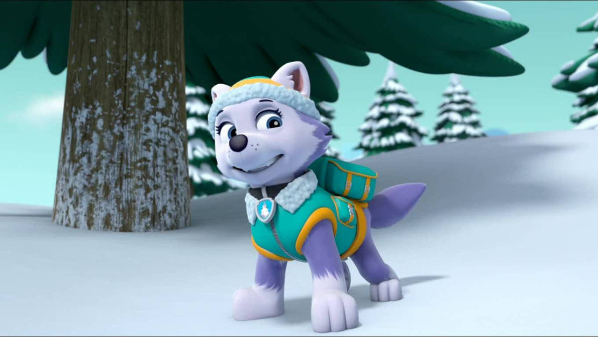 Everest from Paw Patrol by PawPatrolPics4You on DeviantArt