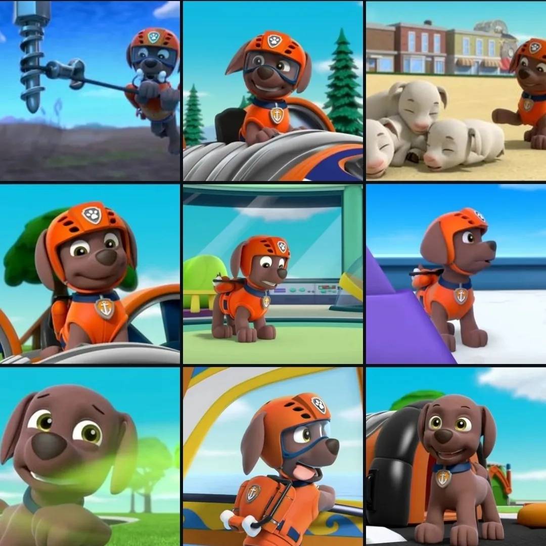 Zuma Deviantart Collection of Zuma from Paw Patrol by PawPatrolPics4You on DeviantArt