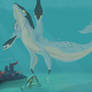Shallows Ecology