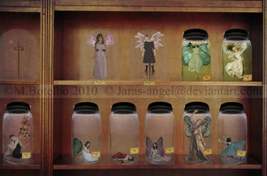 Fairy Collection