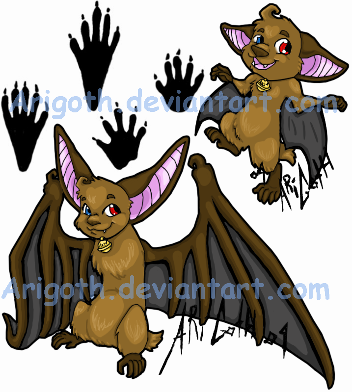 Ari Bat Designs .Colored.