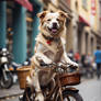 Dog on a bike #4