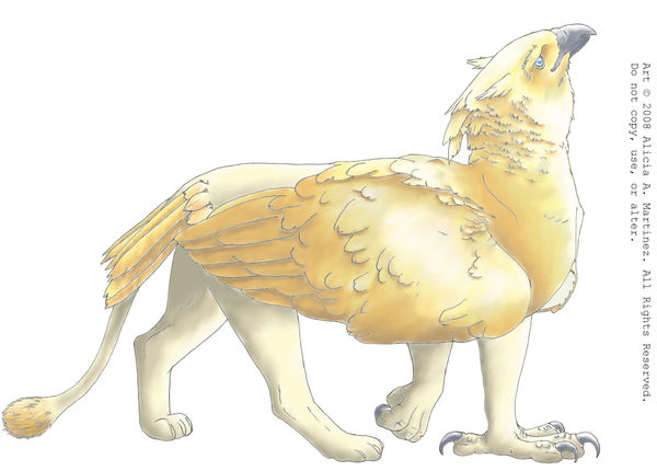 Golden Gryphon_Color