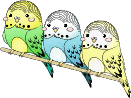 Blinking Budgies