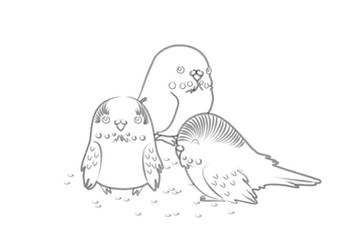 Budgies_Lineart