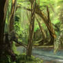 Forest scene