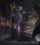 Naphas dragon priest [commission]
