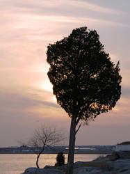 A warm New England day in Jan.