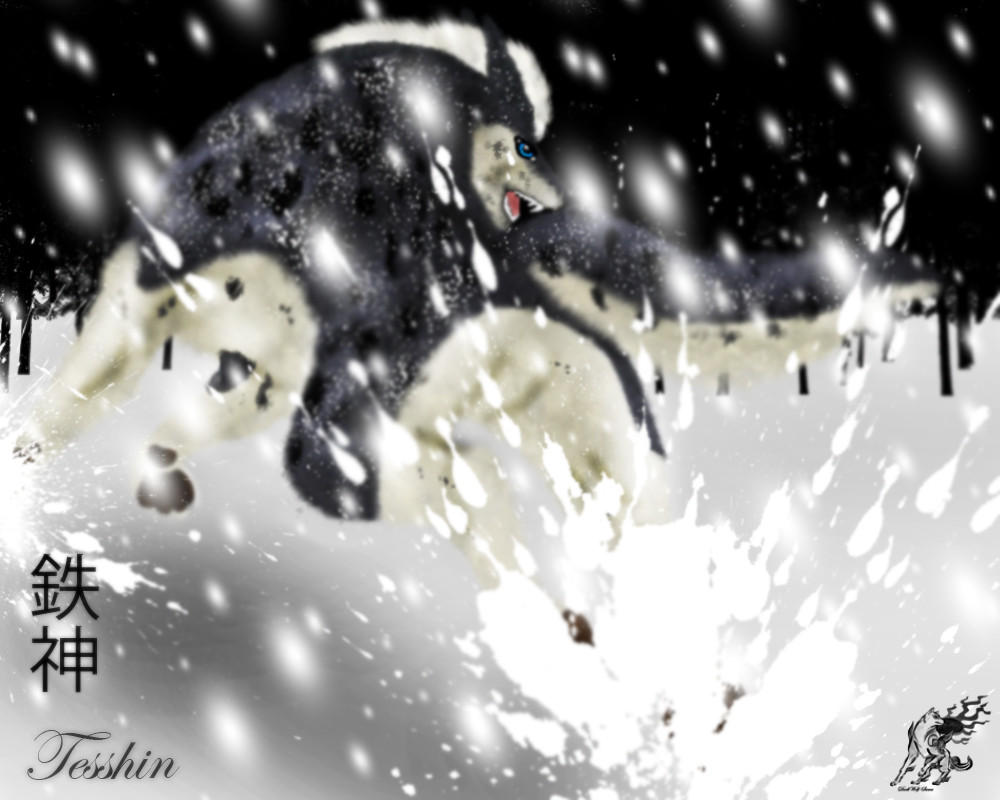 Tesshin by wolfhound56200 on DeviantArt