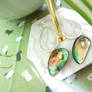 Abalone shell earrings