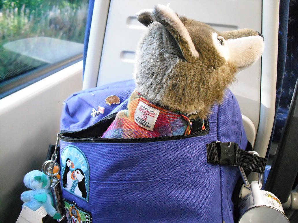 ⛺️Camping On Inchconnachan | 🖍️🌈💙Nate’s Coloring Book💙🌈🖍️ ⛺️Camping On Inchconnachan | 🖍️🌈💙Nate’s Coloring Book💙🌈🖍️