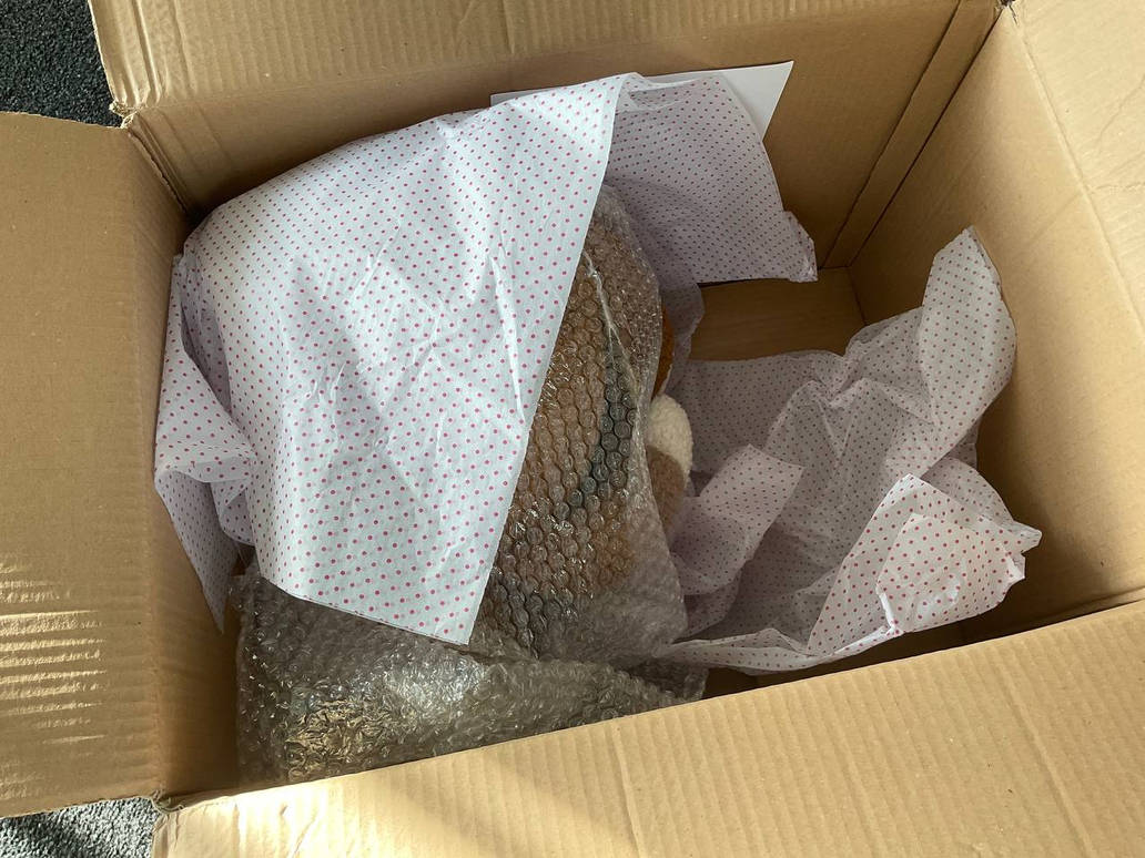 đ§¸Baby Bear Not Meant To Be đ§¸Baby Bear Not Meant To Be