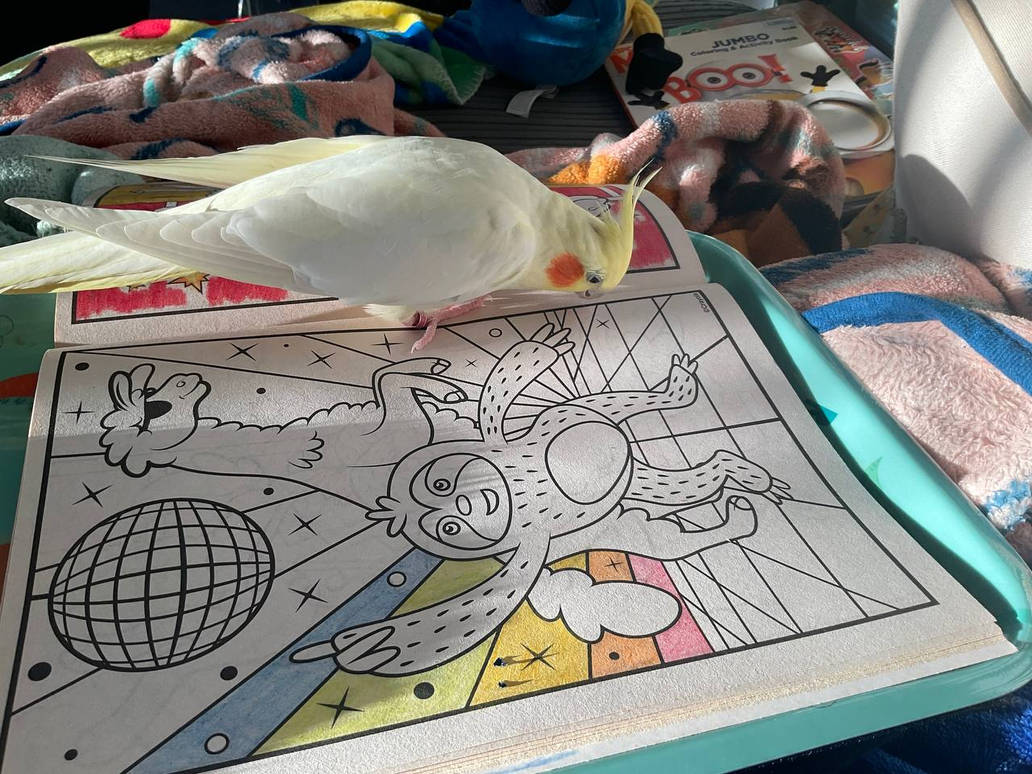 ๐๏ธLittle Helper | ๐๏ธ๐๐Nate’s Coloring Book๐๐๐๏ธ ๐๏ธLittle Helper | ๐๏ธ๐๐Nate’s Coloring Book๐๐๐๏ธ