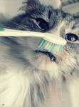 Brush your teeth. by Natsza