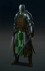 Medieval champion