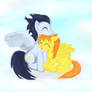 Soarinfire
