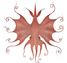 Coleoctopus magnificus