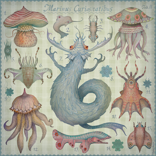 Marine Curiosities tab. II