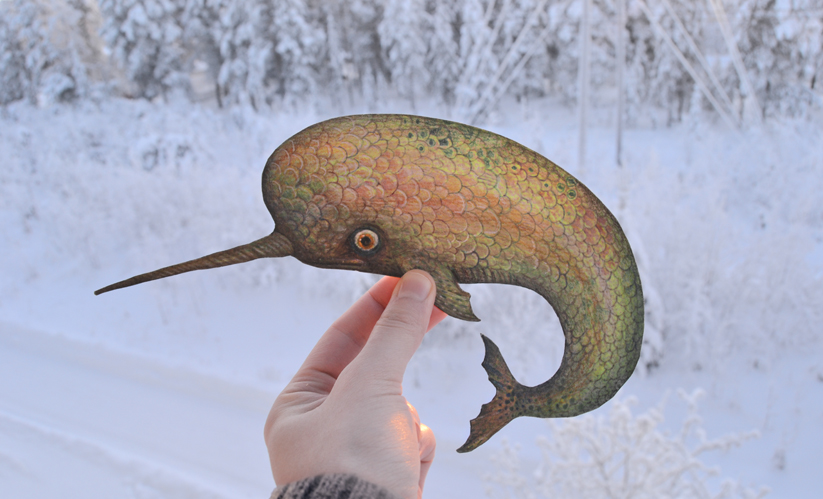 Narwhal in the snow