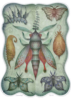 Entomology Tab. II