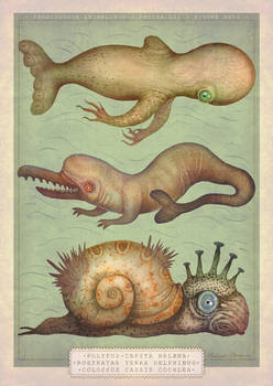 Peculiar Marine Species