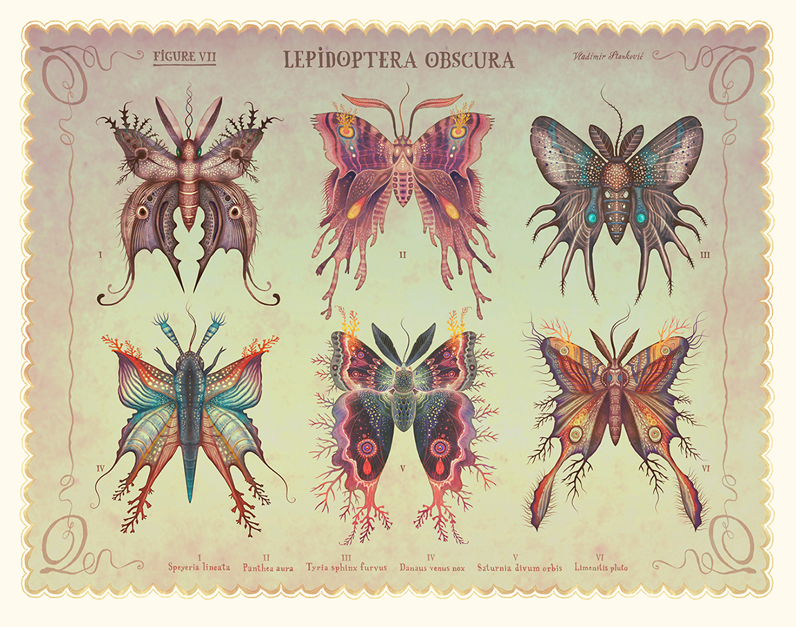 Lepidoptera obscura