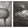 Ocean Sunfish, Anglerfish and Hagfish